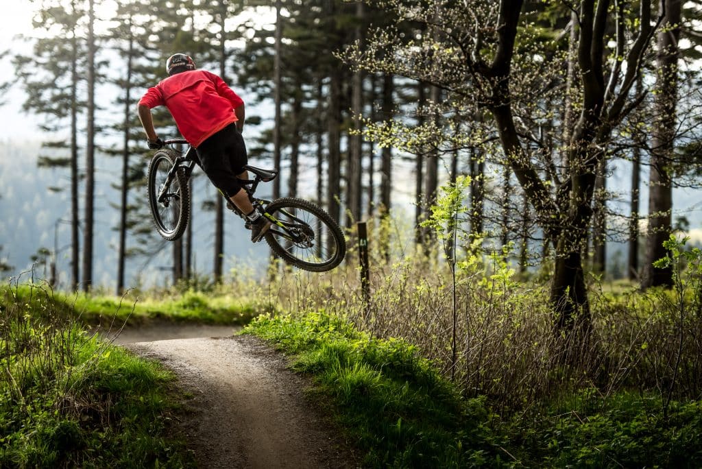 Mountainbikefahrer im Wald auf Trail bei einem Stunt