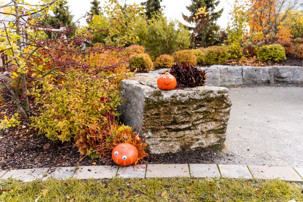 Zwei gebastelte Raupen aus Herbstlaub und einem Kürbis als Kopf auf einer Wiese
