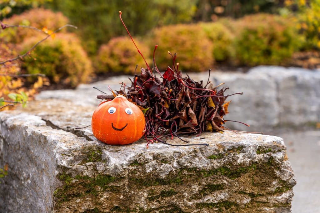 Gebastelte Raupe aus Herbstlaub und einem Kürbis als Kopf auf einem Stein