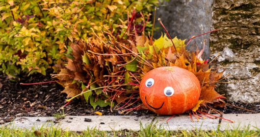 Gebastelte Raupe aus Herbstlaub und einem Kürbis als Kopf auf einer Wiese
