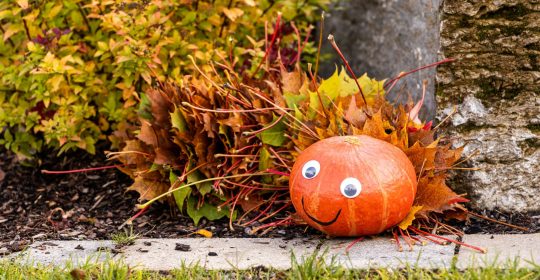 Gebastelte Raupe aus Herbstlaub und einem Kürbis als Kopf auf einer Wiese