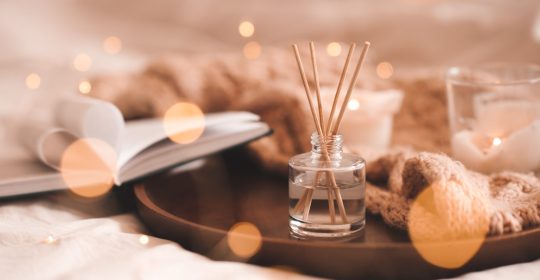 Winterliche Aromatherapie mit Duftstäbchen auf Tablett mit Buch