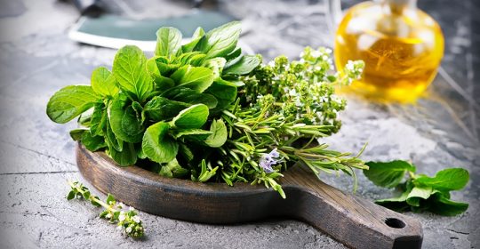 Verschiedene Kräuter auf einem runden Holzbrett auf Steintisch