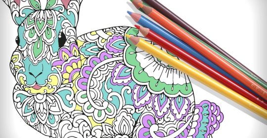 Mandala-Hase und Buntstifte auf weißem Papier