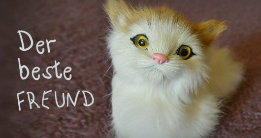 Weiß-Orangene Katze sitzt auf einem violetten Teppich