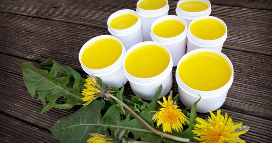 Weiße Tiegel voller gelber Löwenzahnsalbe vor Löwenzahn auf einem dunklen Holztisch
