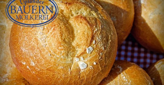 Nahaufnahme von Weizenbröchten