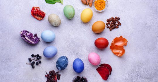 Bunte Ostereier mit natürlicher Eierfärbemethode gefärbt liegen im Kreis mit Obst und Gewürzen