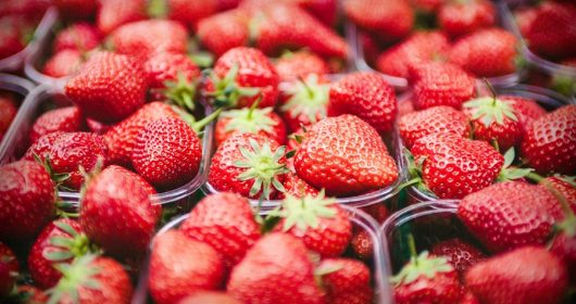 Nahaufnahme vieler Erdbeeren in Plastikkörbchen